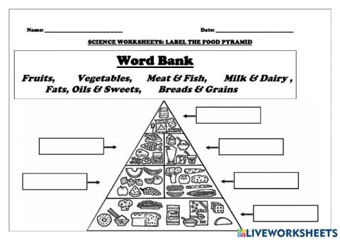 Labelling the Food Pyramid