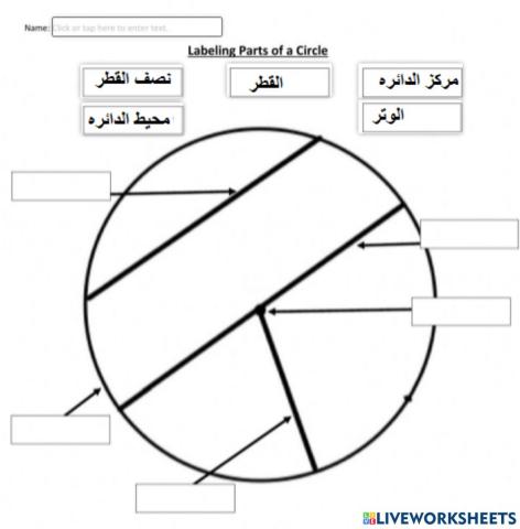 اجزاء الدائره