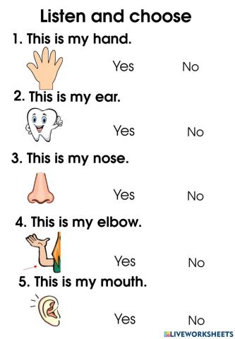 Body parts