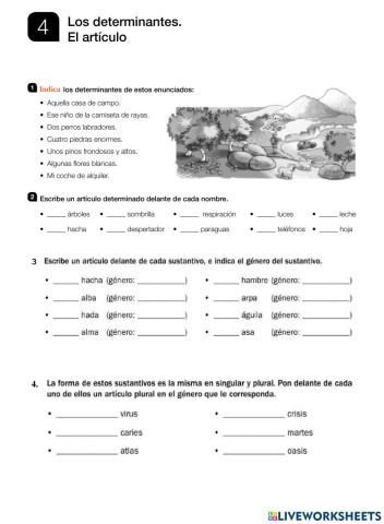 Los determinantes y acentuación