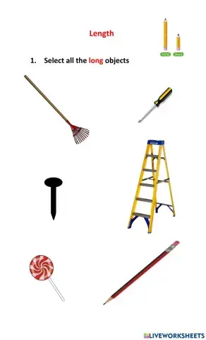 Length - Long and Short