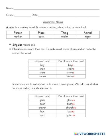 Plural Nouns: Adding S and Es Notes