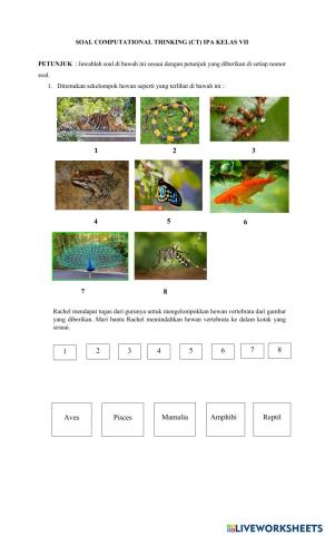 Klasifikasi makhluk hidup