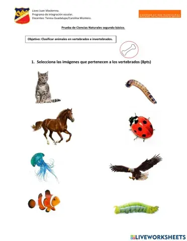 Vertebrados e invertebrados