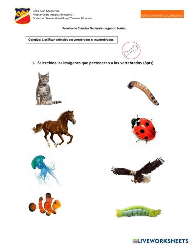 Vertebrados e invertebrados