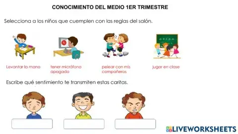 Conocimiento del medio