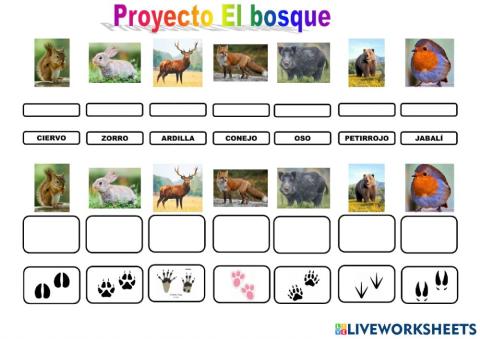 Proyecto el bosque