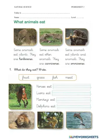 What animals eat