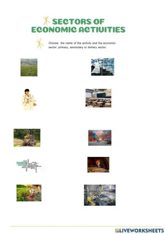 Economic  sectors and activities