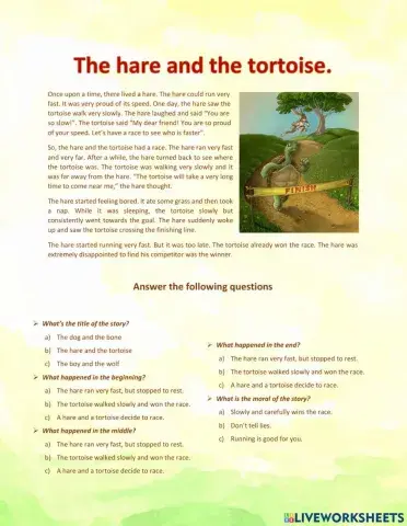 Process Writing Unit 2