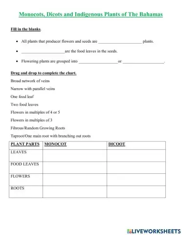 Monocots, Dicots and Indigenous Plants of The Bahamas