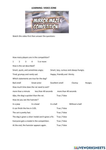 Mirror Maze Video Material