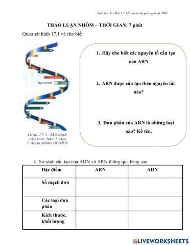 Sinh học 9-Bài 17-Mqh giữa Gen và ARN
