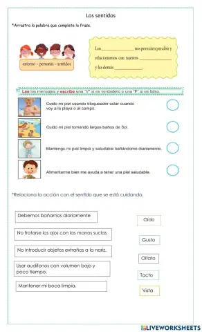 Los sentidos