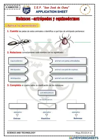 Animales invertebrados