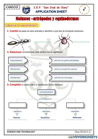 Animales invertebrados