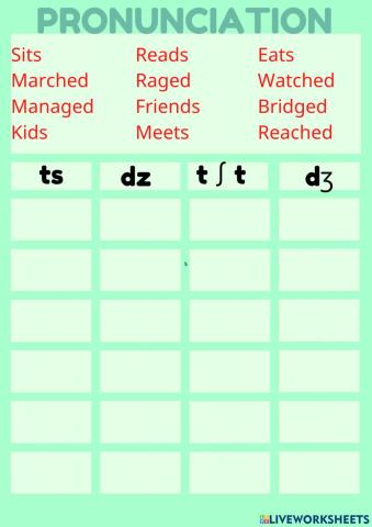 Language Focus Unit 14