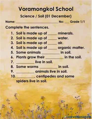 Soil