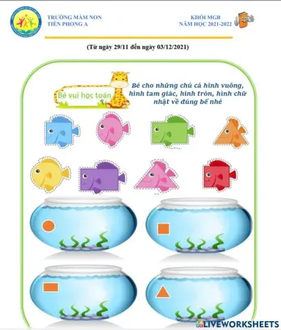 Bé hãy đưa các chú cá về đúng chậu của mình nhé