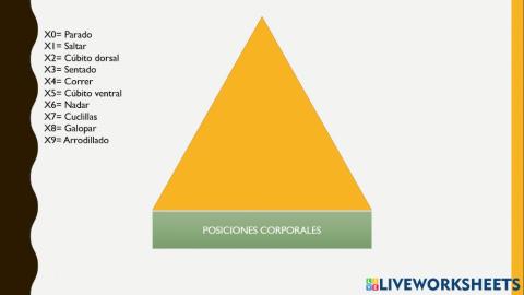 Posiciones corporales