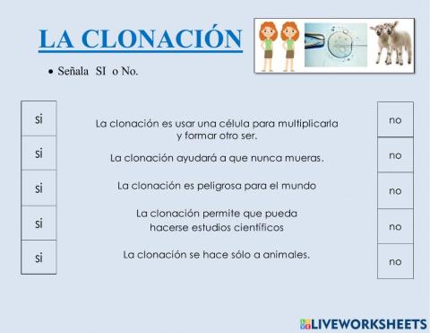 Clonación