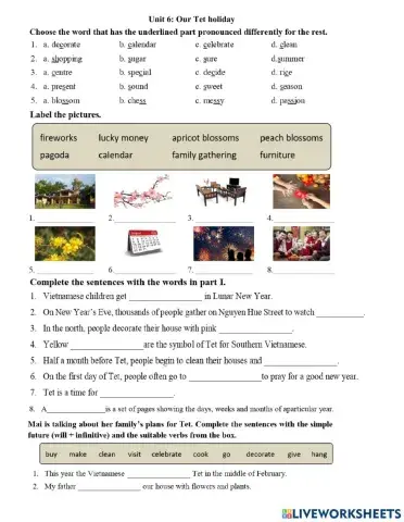 Grade 6- Unit 6- Our Tet holiday