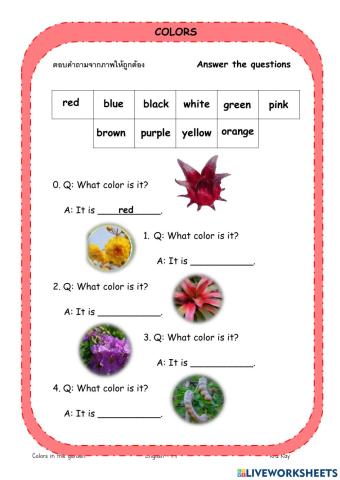 Colors in the garden 2