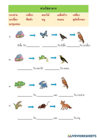 ห่วงโซ่อาหาร