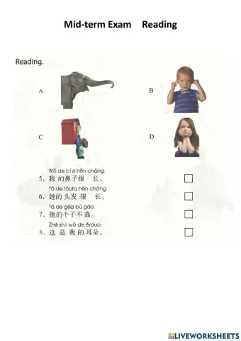 Mid-term Exam Reading