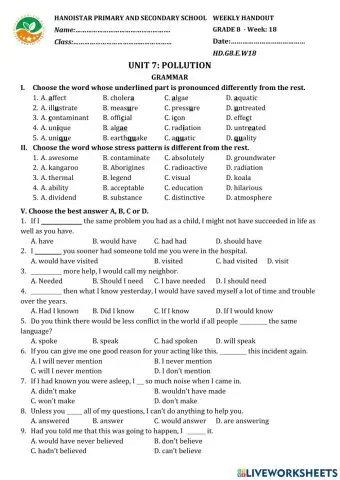 GR8.Unit 7. Pollution. Grammar.