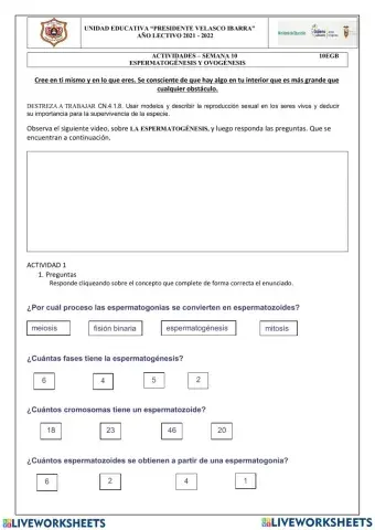 Gametogénesis humana