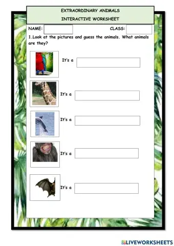 Wild animals comparatives and superlatives