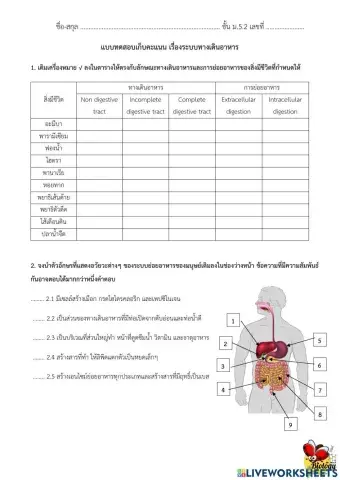ระบบทางเดินอาหาร