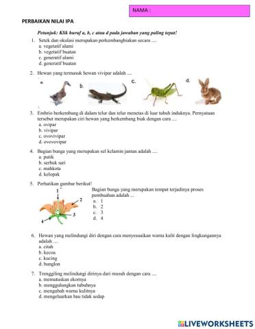 Perbaikan nilai pas ipa