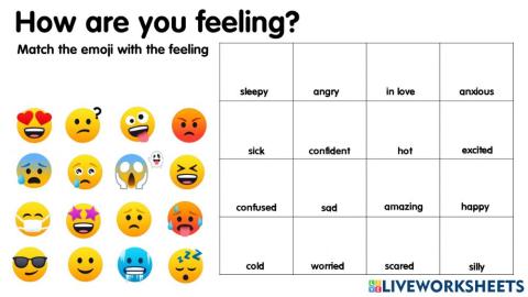 Feelings