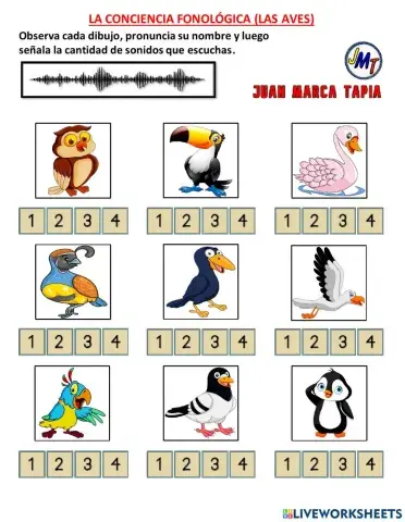 La Conciencia Fonológica. (Las Aves)