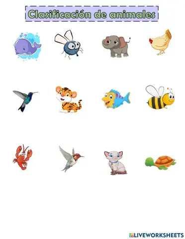 Clasificacion de los Animales