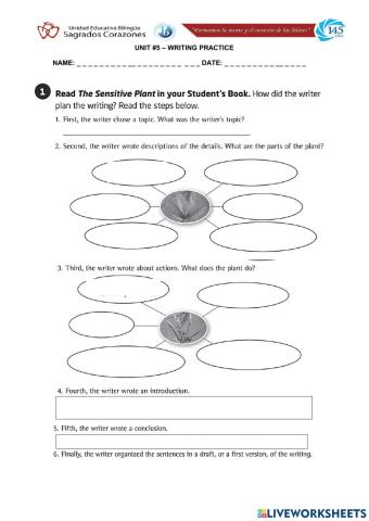 Writing Introduction 2