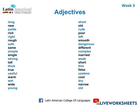 Vocabulary w3