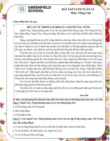 BTCT 14 Tiếng Việt