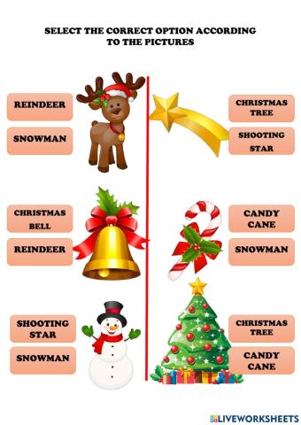 Christmas vocabulary