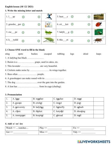 10.12 Song Vy HTĐ review