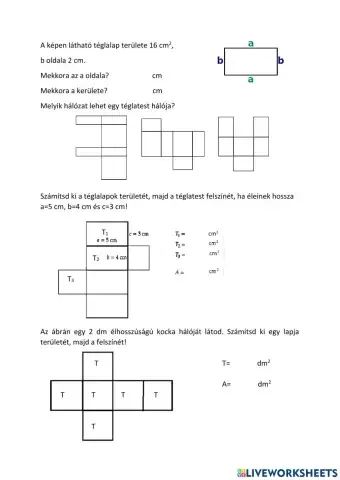 Téglatest felszíne
