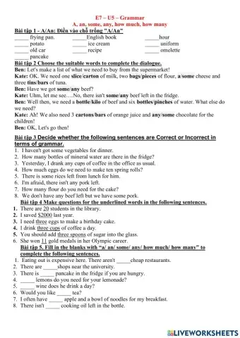 A- an- some- any- how much- how many