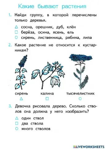 Какие бывают растения