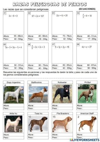 Ecuaciones primer grado