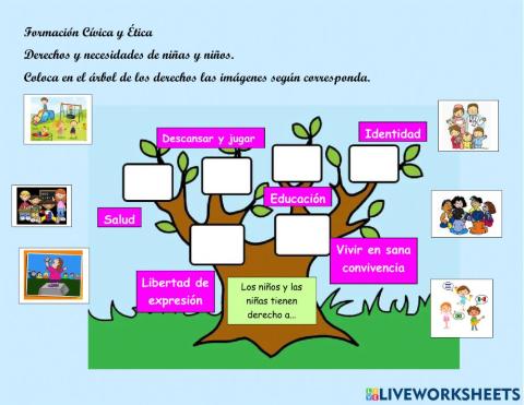 Derechos de los niños y niñas