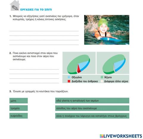 ΦΕ1: Η Αναπνοή