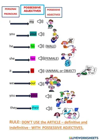 Possessive adjectives
