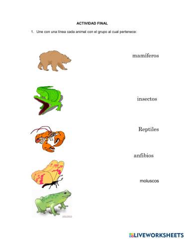 Animales y su clasificación